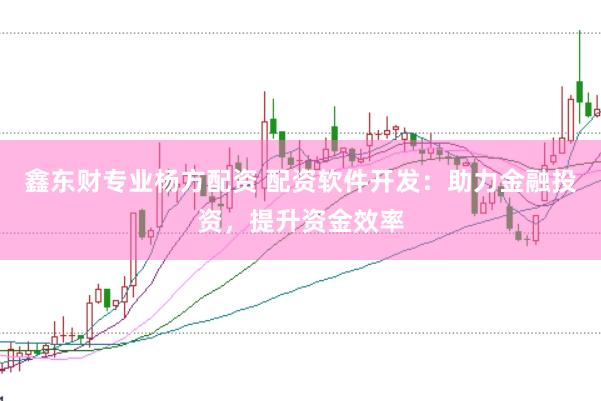 鑫东财专业杨方配资 配资软件开发：助力金融投资，提升资金效率