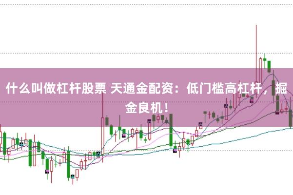 什么叫做杠杆股票 天通金配资：低门槛高杠杆，掘金良机！