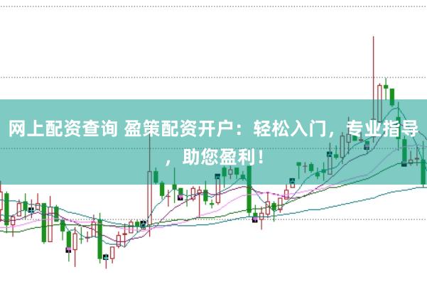 网上配资查询 盈策配资开户：轻松入门，专业指导，助您盈利！