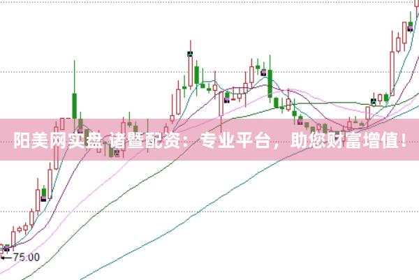 阳美网实盘 诸暨配资：专业平台，助您财富增值！