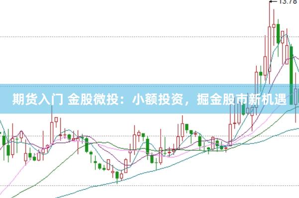 期货入门 金股微投：小额投资，掘金股市新机遇