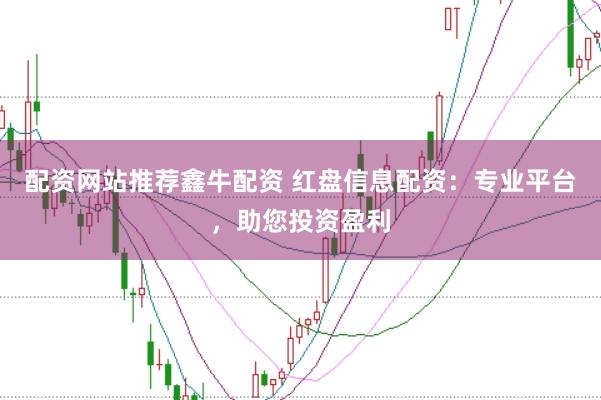 配资网站推荐鑫牛配资 红盘信息配资：专业平台，助您投资盈利