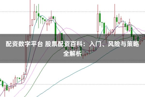 配资数字平台 股票配资百科：入门、风险与策略全解析
