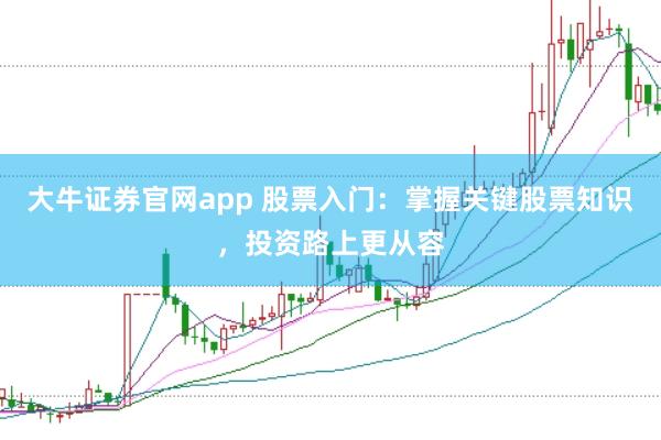 大牛证券官网app 股票入门：掌握关键股票知识，投资路上更从容