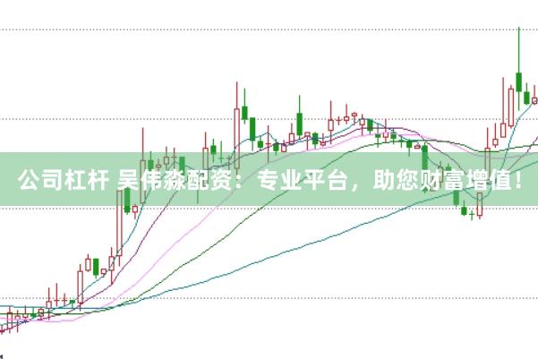 公司杠杆 吴伟淼配资:专业平台,助您财富增值!