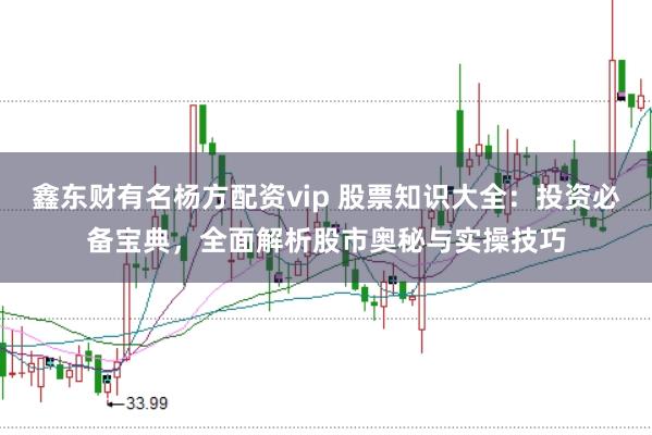 鑫东财有名杨方配资vip 股票知识大全:投资必备宝典,全面解析股市奥秘与实操技巧