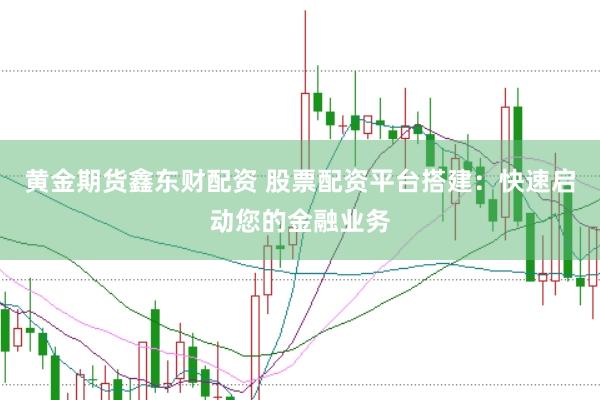黄金期货鑫东财配资 股票配资平台搭建：快速启动您的金融业务