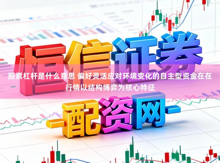股票杠杆是什么意思 偏好灵活应对环境变化的自主型资金在在行情以结构博弈为核心特征