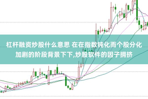 杠杆融资炒股什么意思 在在指数钝化而个股分化加剧的阶段背景下下,炒股软件的因子拥挤